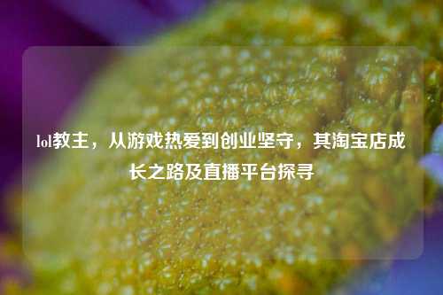lol教主,从游戏热爱到创业坚守,其淘宝店成长之路及直播平台探寻