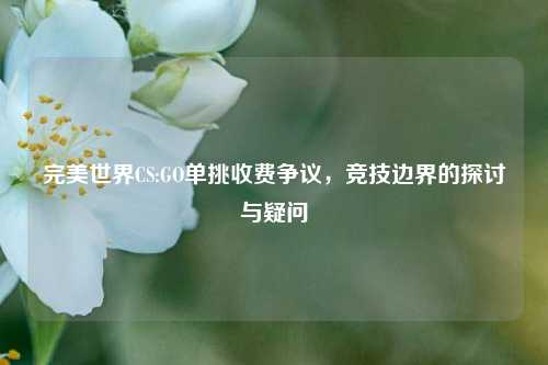 完美世界CS:GO单挑收费争议,竞技边界的探讨与疑问