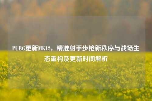 PUBG更新MK12，精准射手步枪新秩序与战场生态重构及更新时间解析