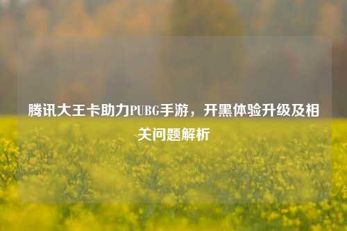 腾讯大王卡助力PUBG手游,开黑体验升级及相关问题解析