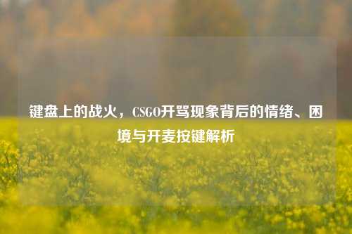 键盘上的战火,CSGO开骂现象背后的情绪、困境与开麦按键解析