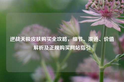 逆战天极皮肤购买全攻略,细节、渠道、价值解析及正规购买网站指引