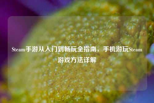 Steam手游从入门到畅玩全指南,手机游玩Steam游戏方法详解