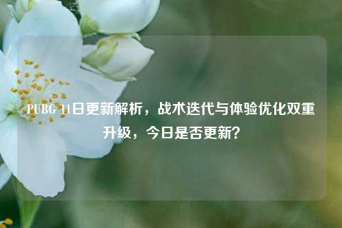 PUBG 11日更新解析,战术迭代与体验优化双重升级,今日是否更新?