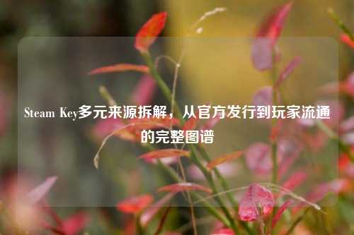 Steam Key多元来源拆解,从官方发行到玩家流通的完整图谱