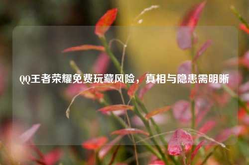 QQ王者荣耀免费玩藏风险,真相与隐患需明晰
