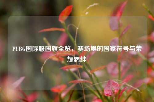 PUBG国际服国旗全览,赛场里的国家符号与荣耀羁绊