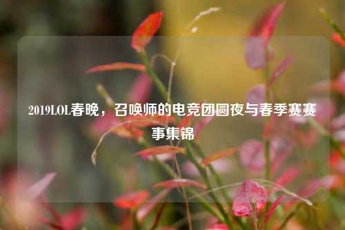 2019LOL春晚，召唤师的电竞团圆夜与春季赛赛事集锦