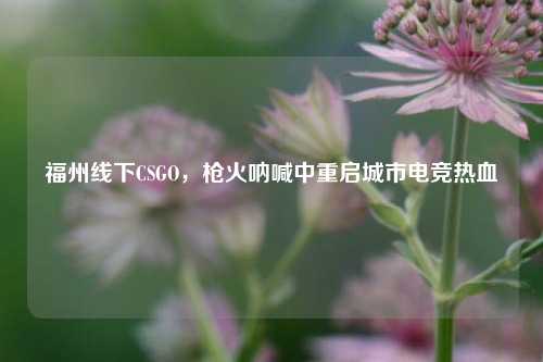 福州线下CSGO,枪火呐喊中重启城市电竞热血