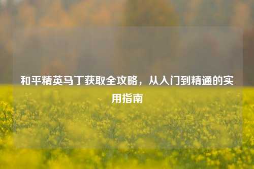 和平精英马丁获取全攻略,从入门到精通的实用指南