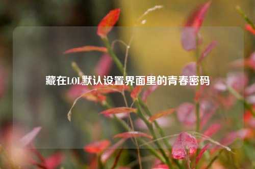 藏在LOL默认设置界面里的青春密码