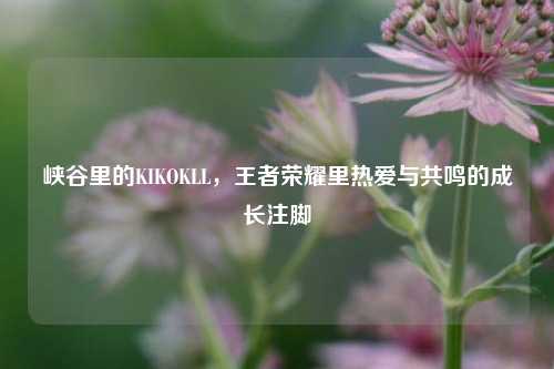 峡谷里的KIKOKLL,王者荣耀里热爱与共鸣的成长注脚