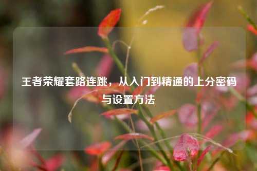 王者荣耀套路连跳,从入门到精通的上分密码与设置方法