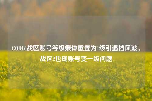 COD16战区账号等级集体重置为1级引退档风波,战区2也现账号变一级问题