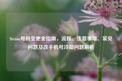 Steam号码变更全指南，流程、注意事项、常见问题及改手机号冷却问题解析