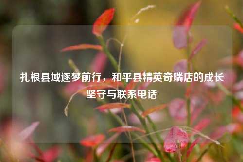 扎根县域逐梦前行,和平县精英奇瑞店的成长坚守与联系电话