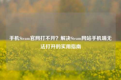 手机Steam官网打不开?解决Steam网站手机端无法打开的实用指南