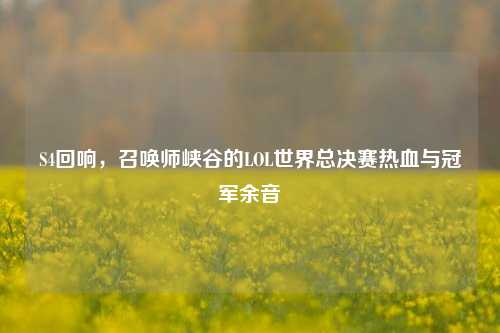 S4回响,召唤师峡谷的LOL世界总决赛热血与冠军余音
