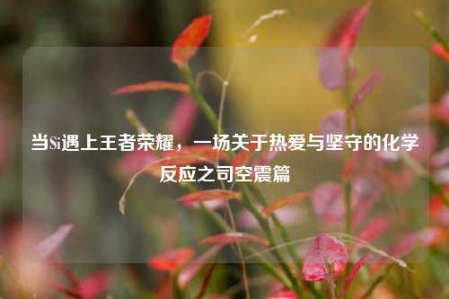 当Si遇上王者荣耀，一场关于热爱与坚守的化学反应之司空震篇
