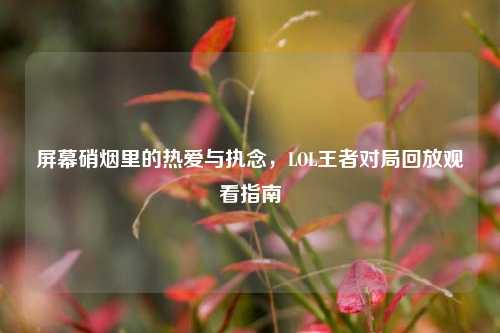 屏幕硝烟里的热爱与执念,LOL王者对局回放观看指南