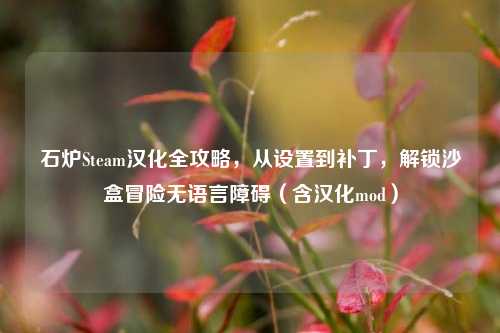 石炉Steam汉化全攻略,从设置到补丁,解锁沙盒冒险无语言障碍(含汉化mod)