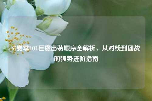 S7赛季LOL巨魔出装顺序全解析,从对线到团战的强势进阶指南