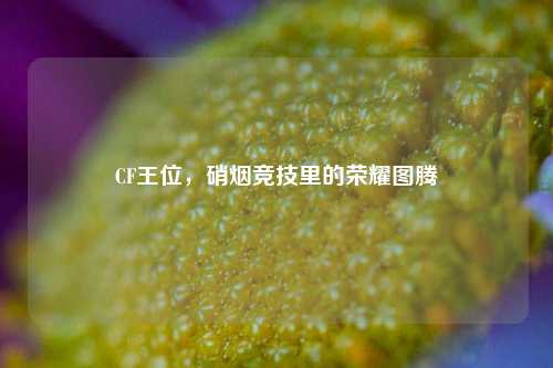 CF王位,硝烟竞技里的荣耀图腾