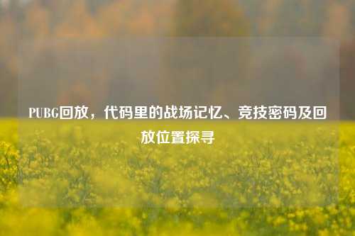 PUBG回放,代码里的战场记忆、竞技密码及回放位置探寻