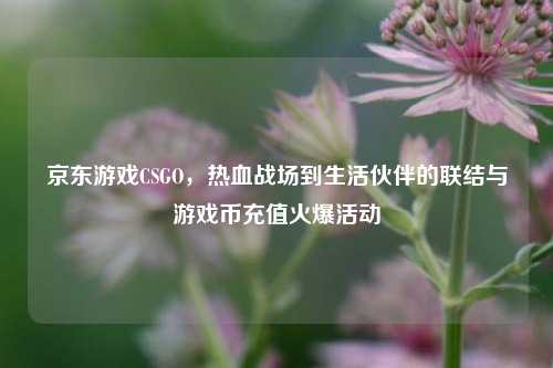 京东游戏CSGO,热血战场到生活伙伴的联结与游戏币充值火爆活动