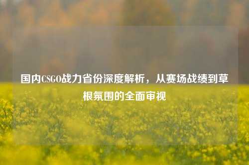 国内CSGO战力省份深度解析,从赛场战绩到草根氛围的全面审视