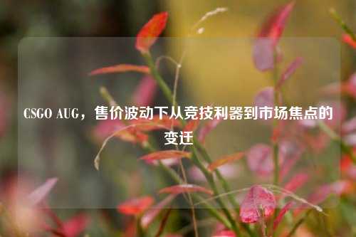 CSGO AUG,售价波动下从竞技利器到市场焦点的变迁