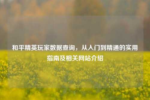 和平精英玩家数据查询,从入门到精通的实用指南及相关网站介绍