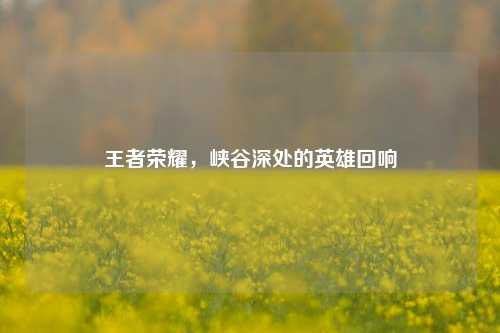 王者荣耀,峡谷深处的英雄回响