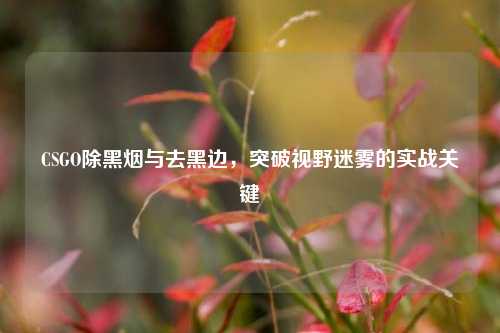 CSGO除黑烟与去黑边,突破视野迷雾的实战关键