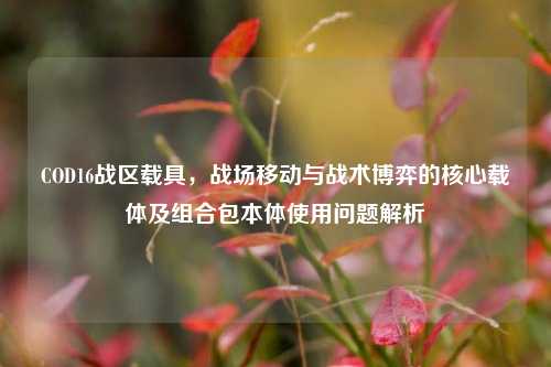 COD16战区载具,战场移动与战术博弈的核心载体及组合包本体使用问题解析