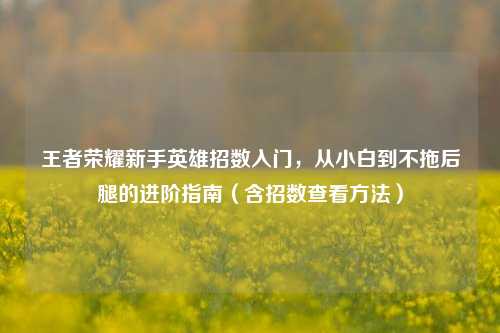 王者荣耀新手英雄招数入门,从小白到不拖后腿的进阶指南(含招数查看方法)