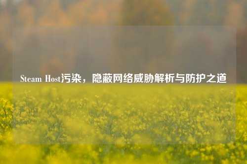 Steam Host污染,隐蔽网络威胁解析与防护之道