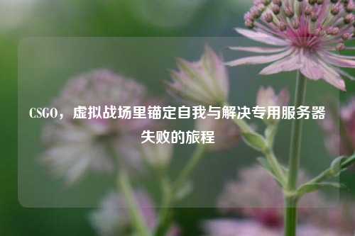 CSGO,虚拟战场里锚定自我与解决专用服务器失败的旅程