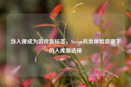 当入侵成为游戏新标签,Steam另类体验浪潮下的入库新选择