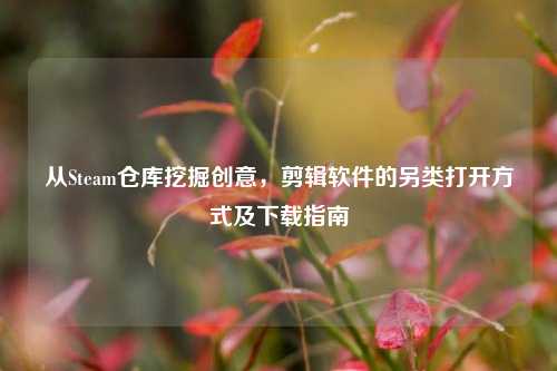 从Steam仓库挖掘创意,剪辑软件的另类打开方式及下载指南