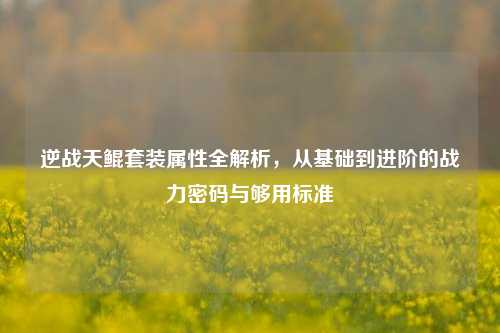 逆战天鲲套装属性全解析,从基础到进阶的战力密码与够用标准
