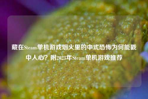 藏在Steam单机游戏烟火里的中式恐怖为何能戳中人心?附2023年Steam单机游戏推荐