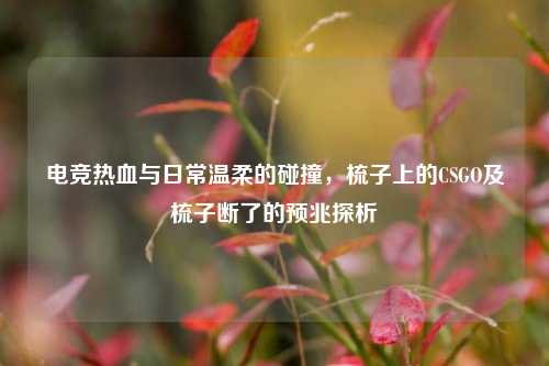 电竞热血与日常温柔的碰撞,梳子上的CSGO及梳子断了的预兆探析