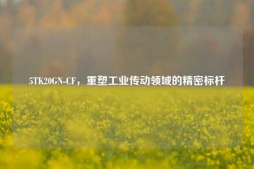 5TK20GN-CF,重塑工业传动领域的精密标杆