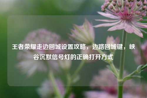 王者荣耀走边回城设置攻略,边路回城键,峡谷沉默信号灯的正确打开方式