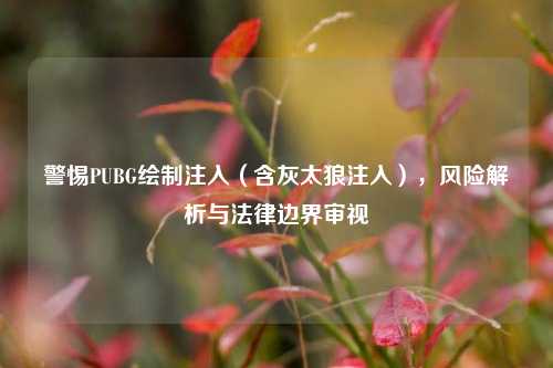 警惕PUBG绘制注入（含灰太狼注入），风险解析与法律边界审视