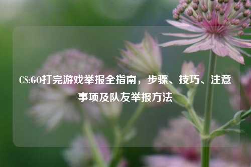 CS:GO打完游戏举报全指南，步骤、技巧、注意事项及队友举报方法