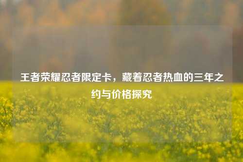 王者荣耀忍者限定卡,藏着忍者热血的三年之约与价格探究