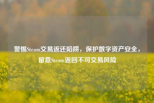 警惕Steam交易返还陷阱,保护数字资产安全,留意Steam返回不可交易风险