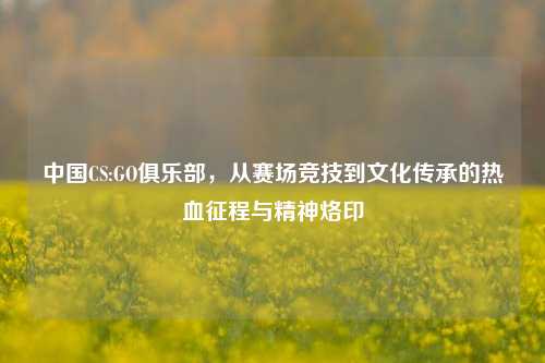 中国CS:GO俱乐部,从赛场竞技到文化传承的热血征程与精神烙印